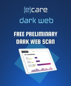 dark web porn website