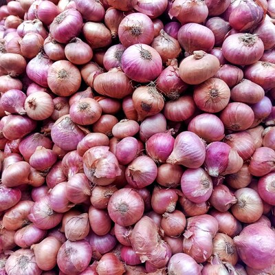darknet market onions